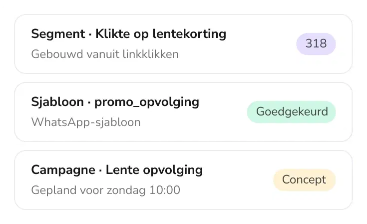Segment, sjabloon en campagne voorbereid door TopAgent